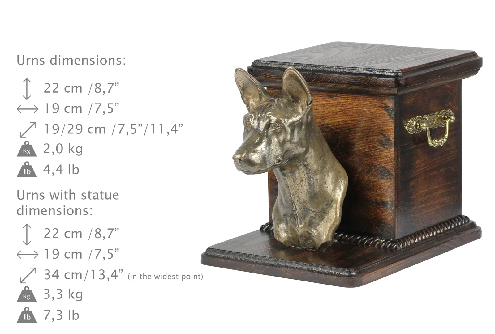 Elegante urn voor Basenji, Afrikaanse bos hond en Congo hond met beeldje — foto 8