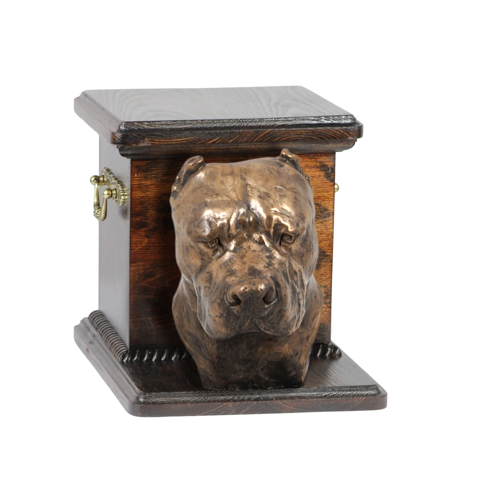 Elegante urn voor Dogo Argentino met hondenbuste