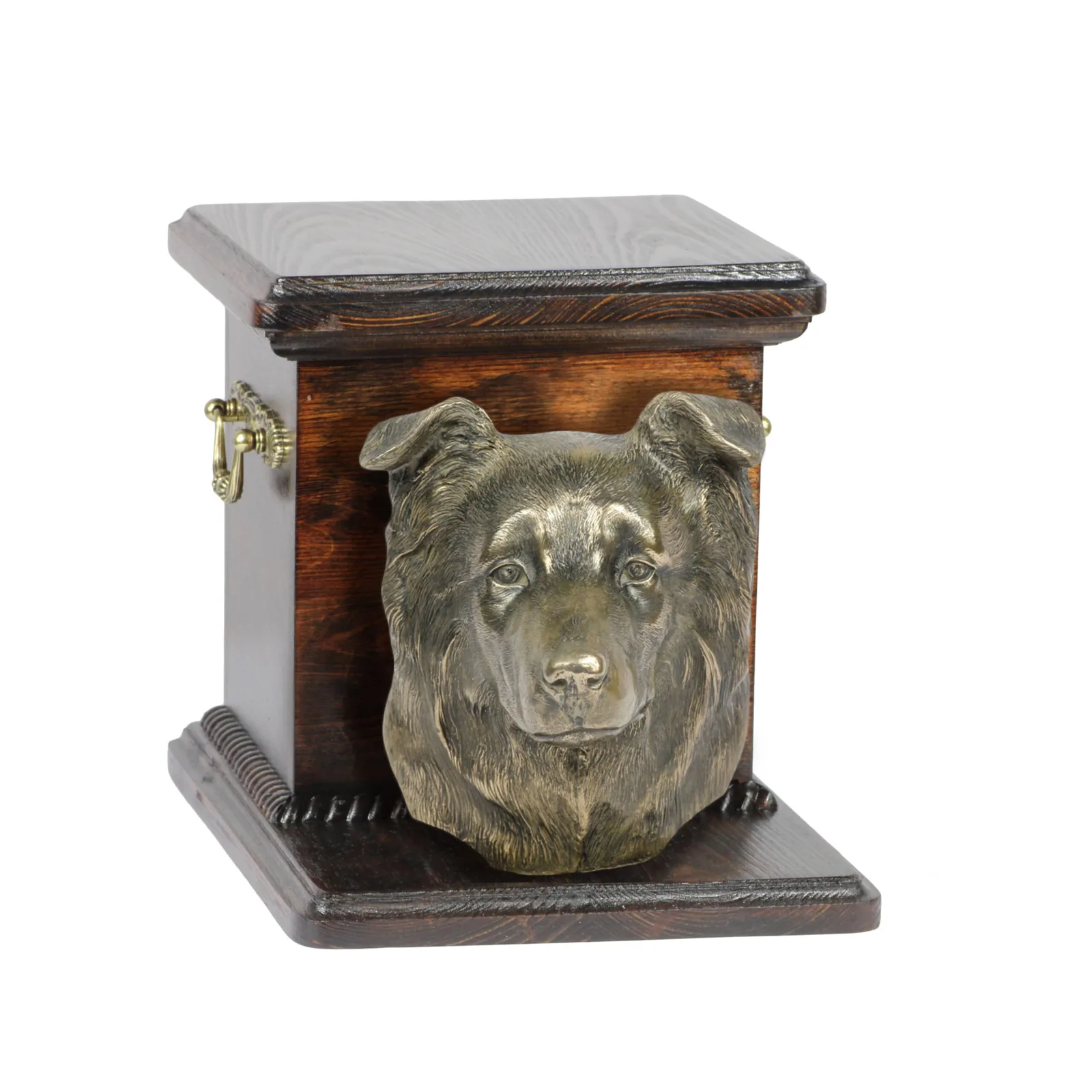 Elegante urn voor hondenas met Border Collie buste