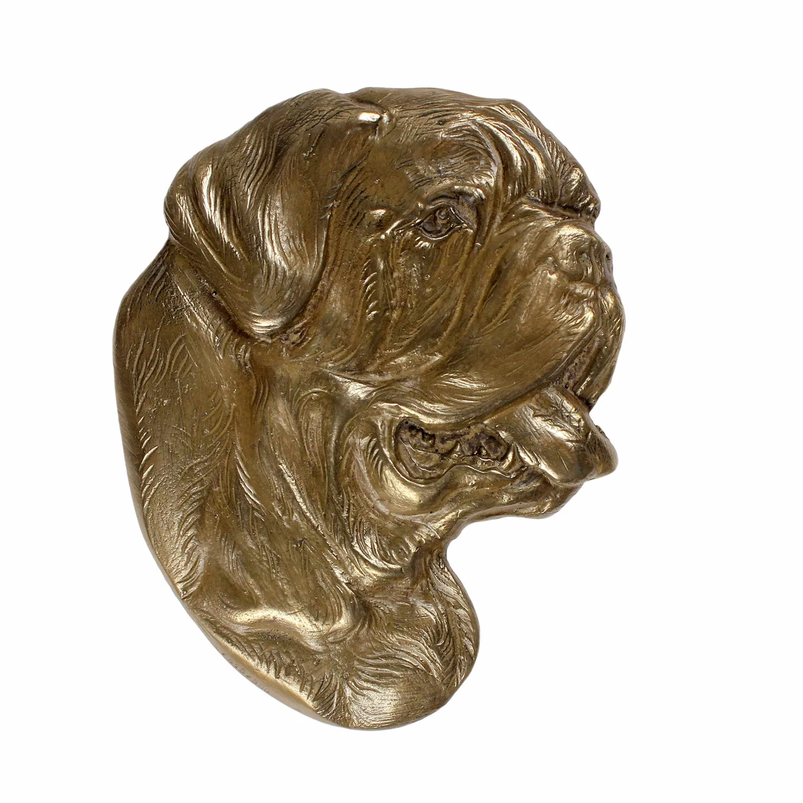 Persoonlijke urn voor Dogue de Bordeaux met gravure en reliëf — foto 2