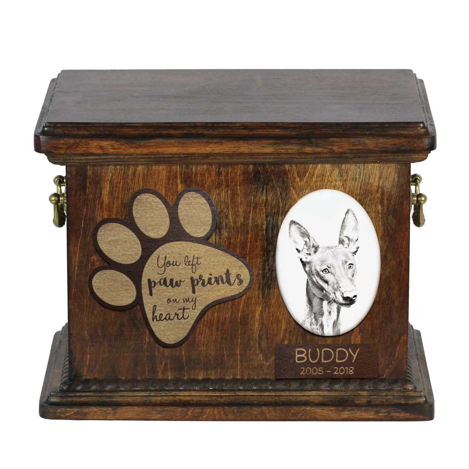 Persoonlijke urn voor hondenas – Pharaoh Hound foto urn