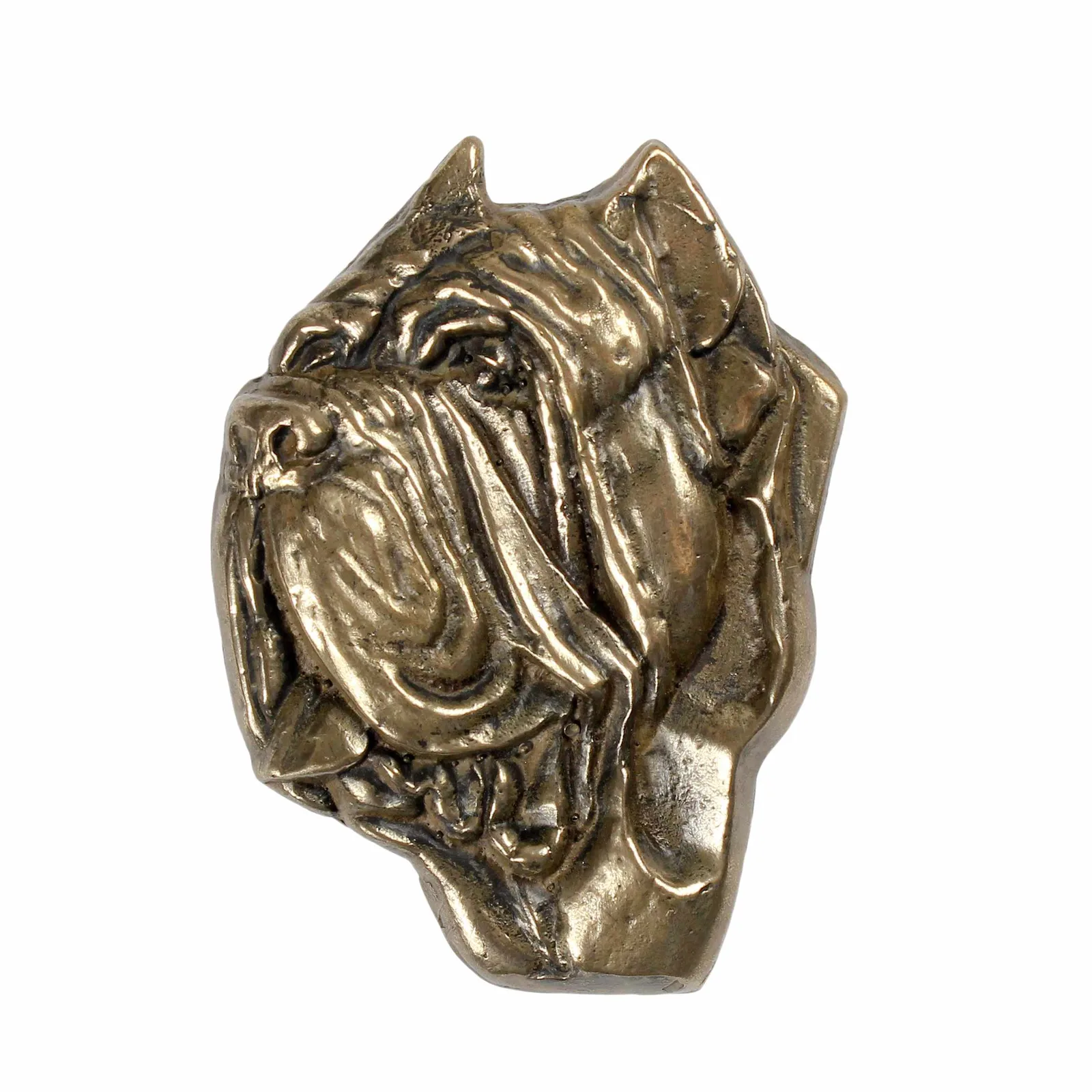 Persoonlijke urn voor Neapolitaanse Mastiff met gravure en reliëf — foto 2