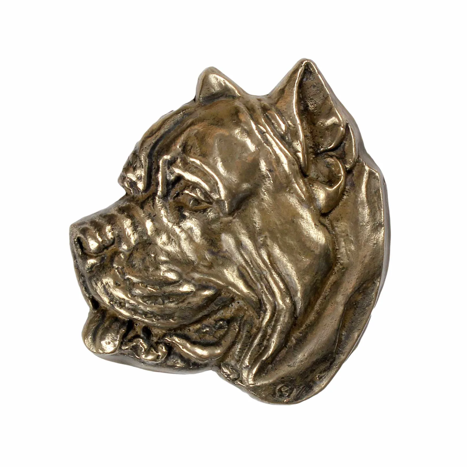 Persoonlijke urn voor Presa Canario en Dogo Canario met gravure en reliëf — foto 2