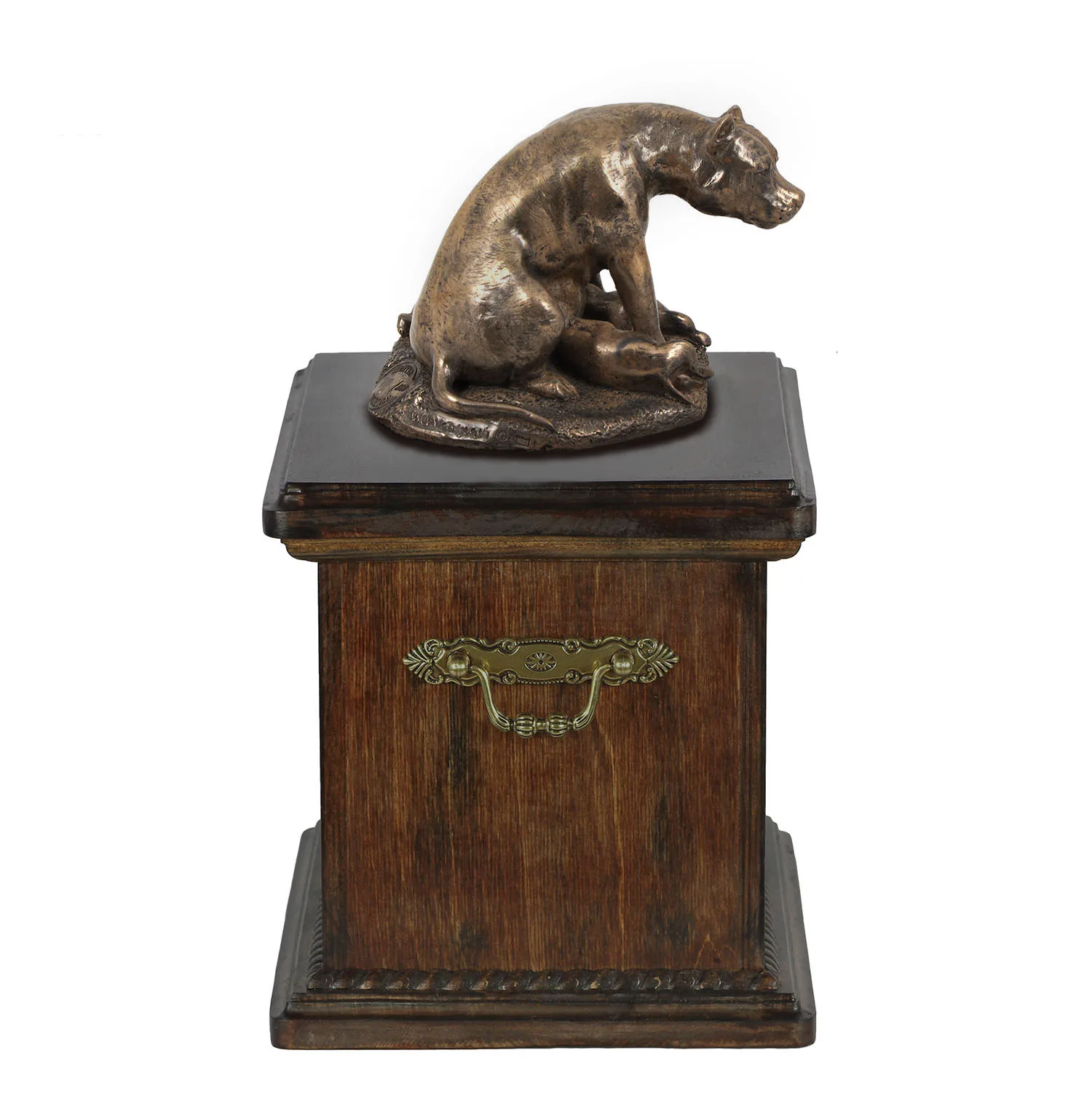 Persoonlijke urn voor Staffordshire Bull Terrier met beeldje en as. — foto 2