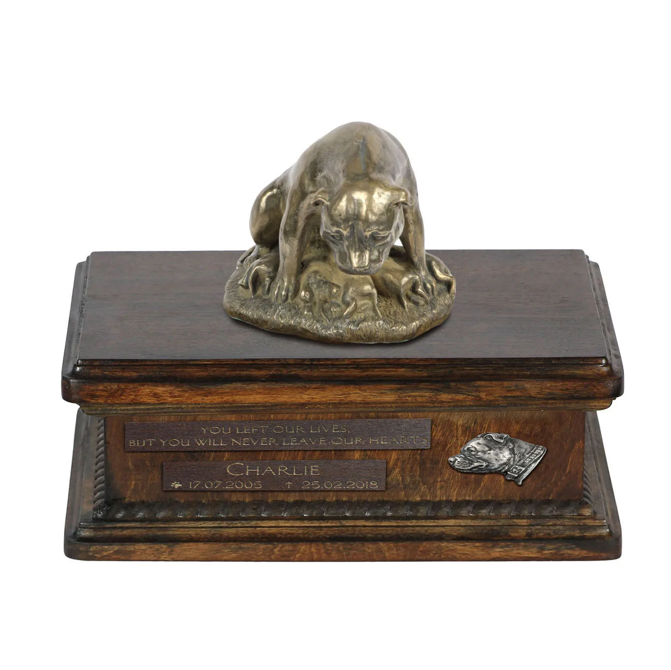 Persoonlijke urn voor Staffordshire Bull Terrier met beeldje en houtafwerking