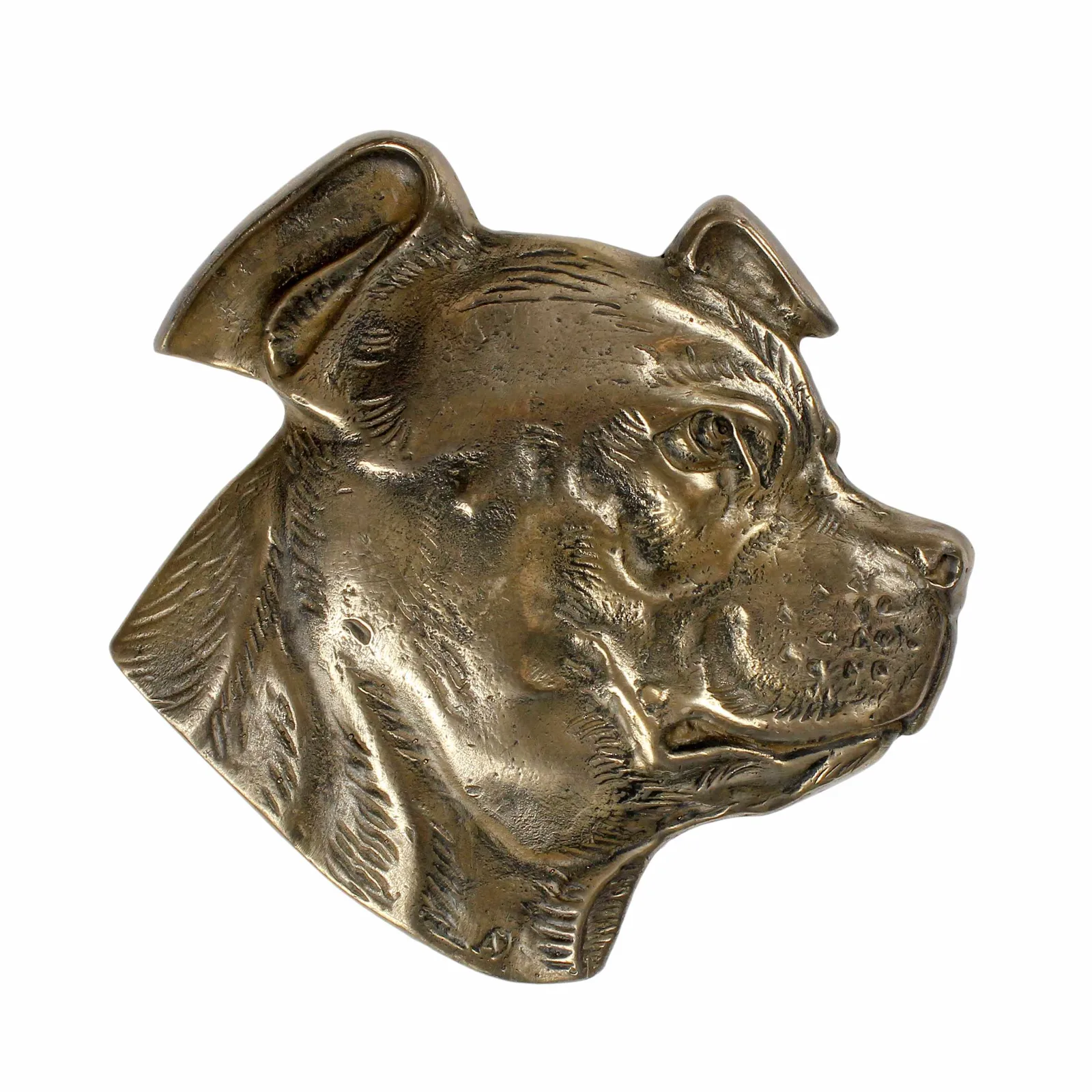Persoonlijke urn voor Staffordshire Bull Terrier met gravure en reliëf — foto 2